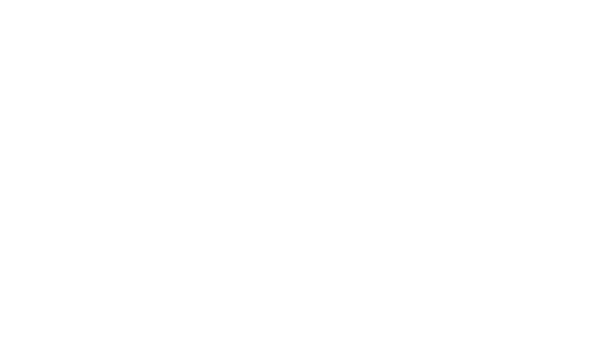 FICCSUR Southern Cone International Film Festival 2018, Official Selection