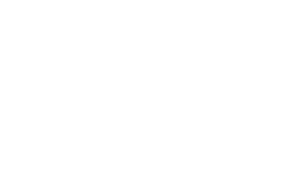 Pondicherry International Film Festival 2018, Official Selection
